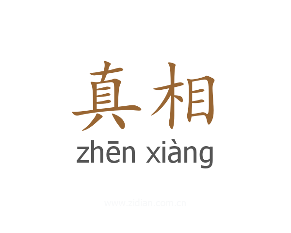 真相
