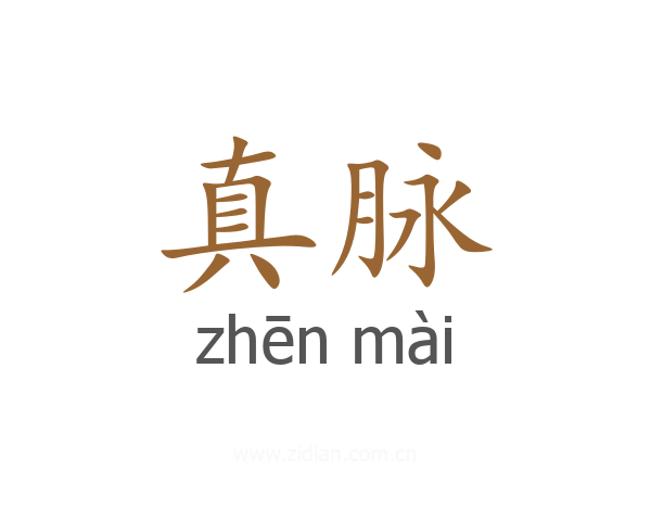 真脉