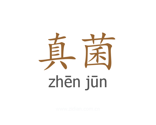 真菌