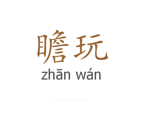 瞻玩