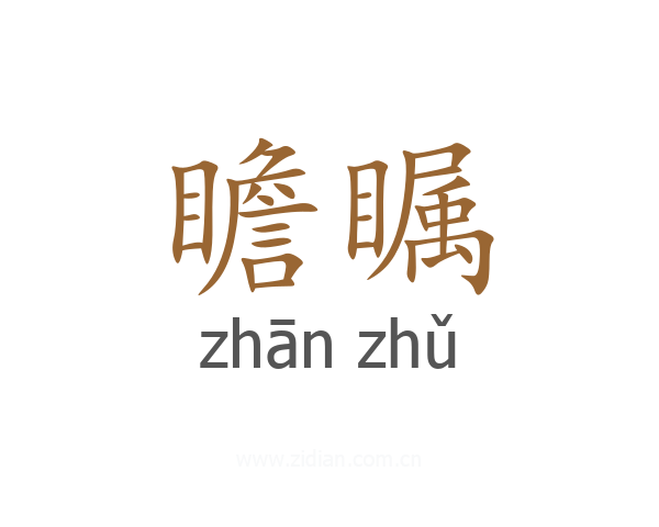 瞻瞩