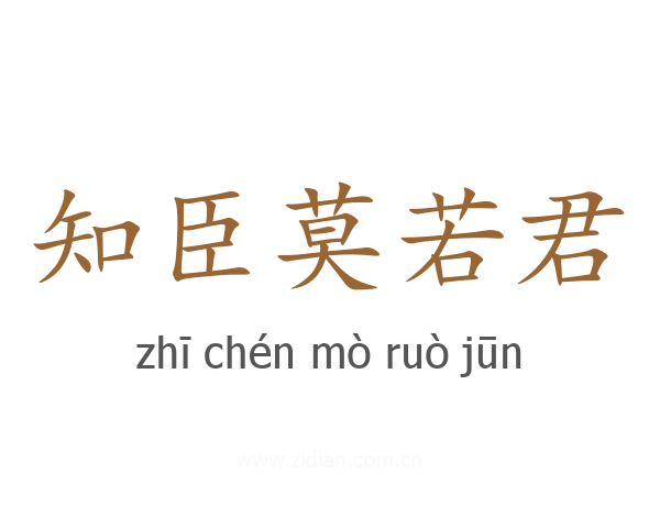 知臣莫若君