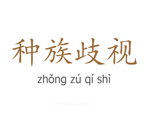 种族歧视