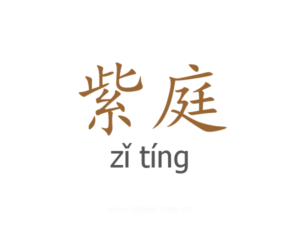 紫庭