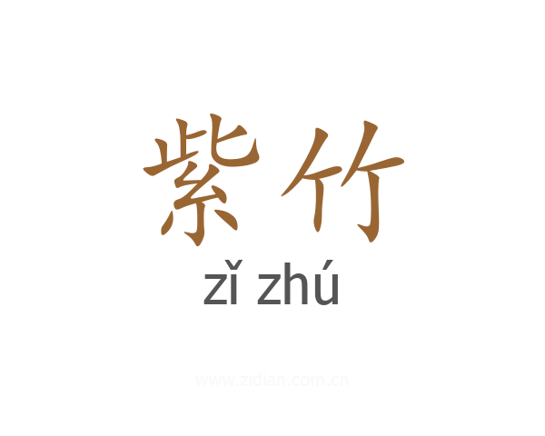 紫竹