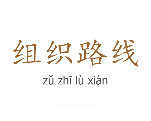 组织路线