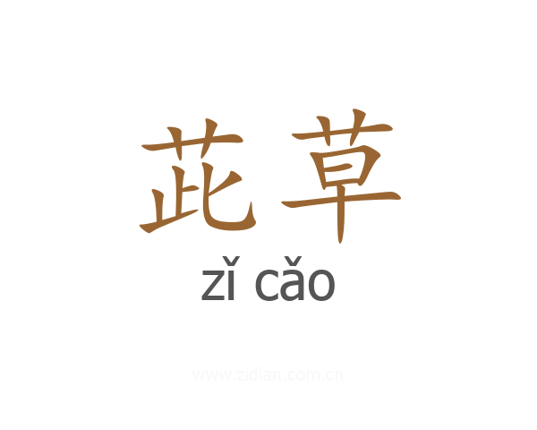 茈草