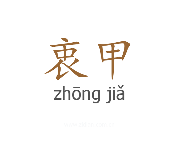 衷甲
