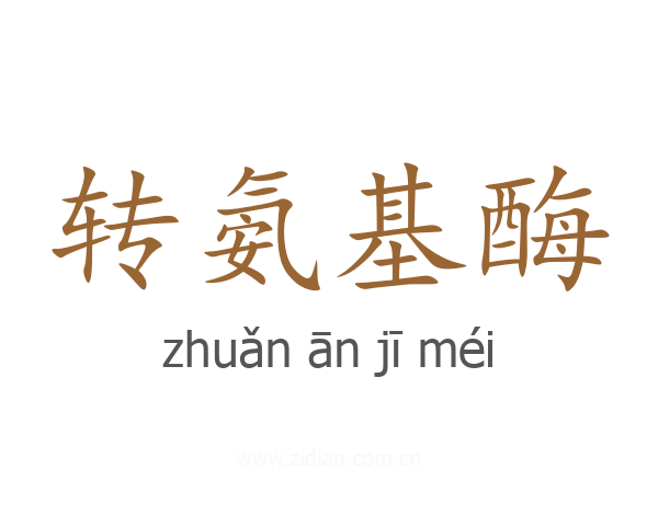 转氨基酶