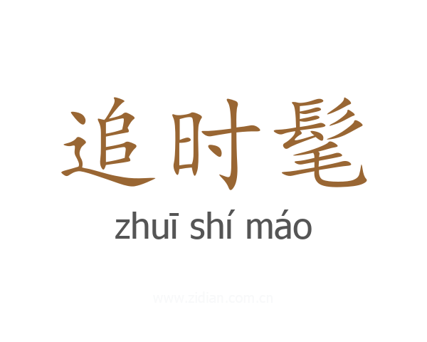追时髦
