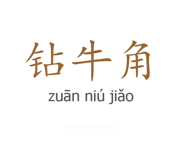 钻牛角