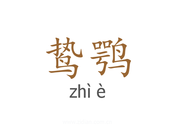 鸷鹗