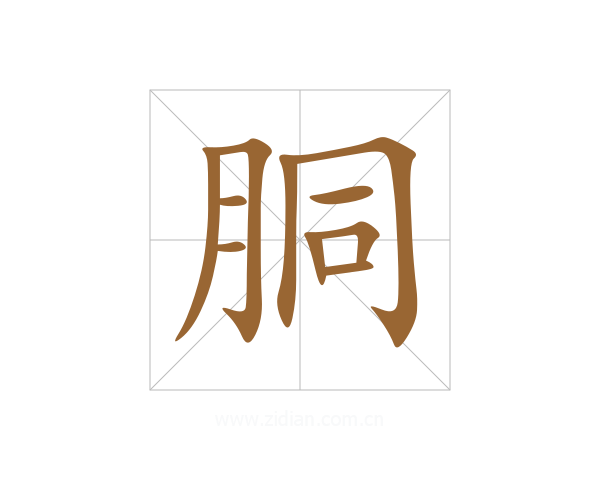 胴