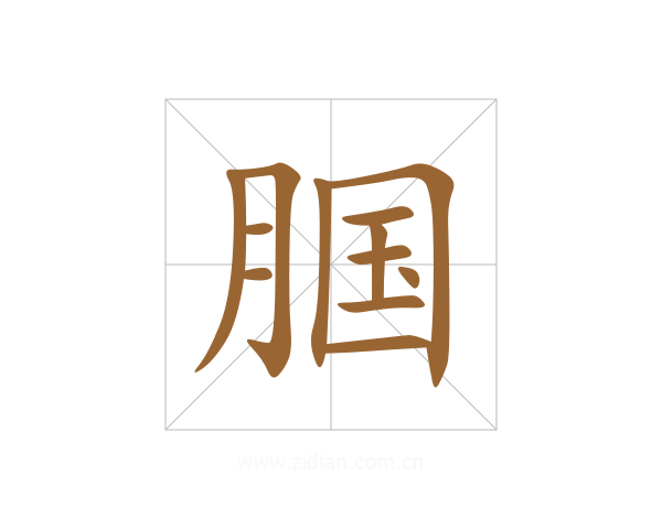腘
