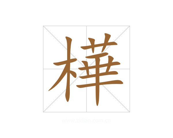 樺