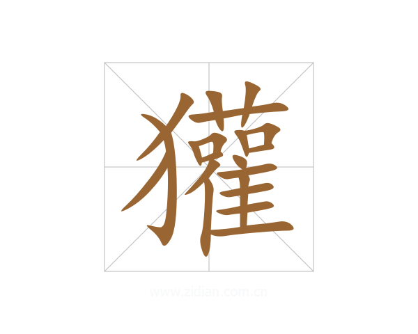 獾