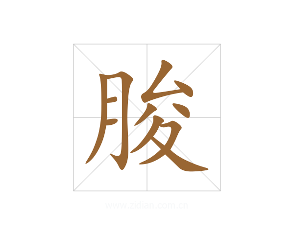 朘