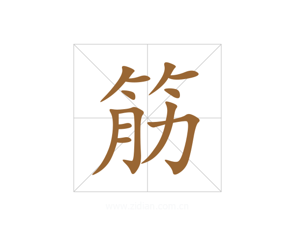 筋
