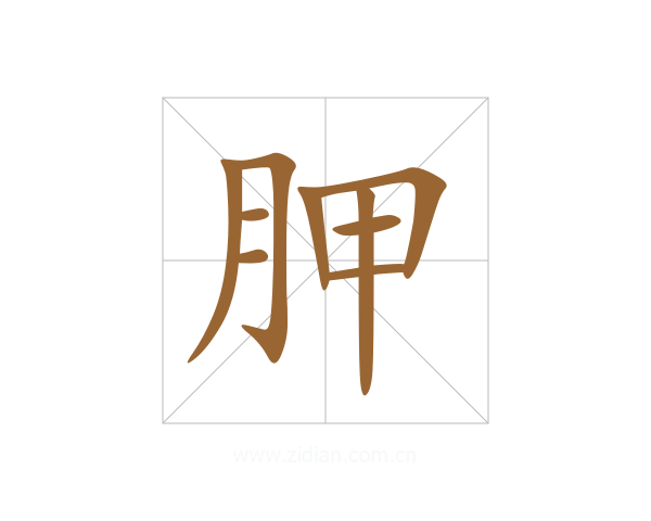 胛