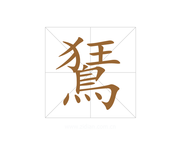 鵟