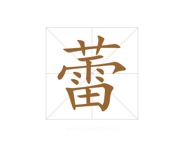 蕾