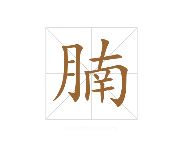 腩