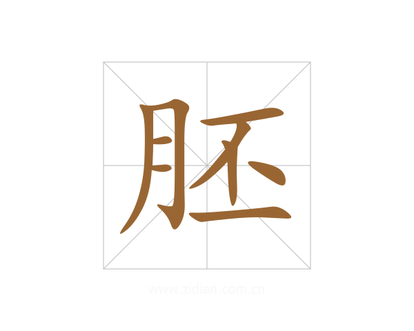 胚