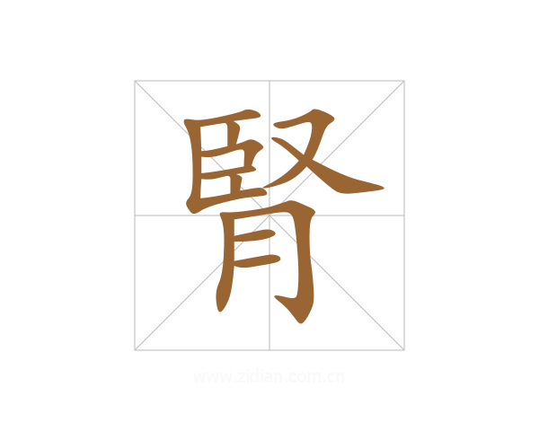 腎