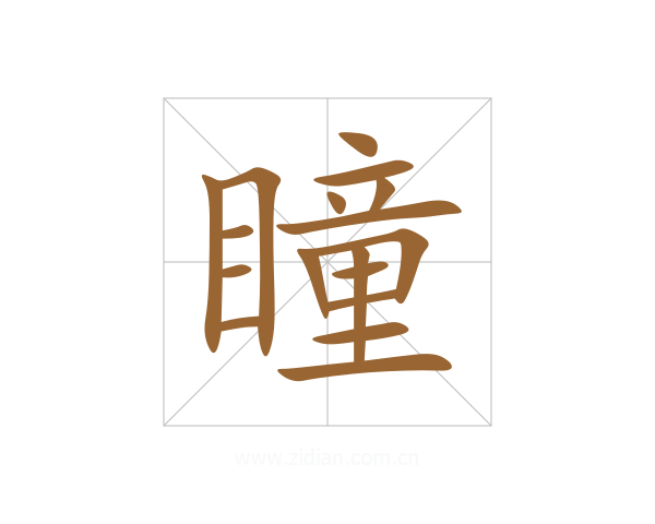 瞳