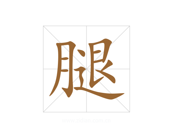腿