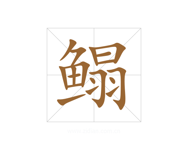 鳎