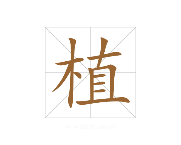 植