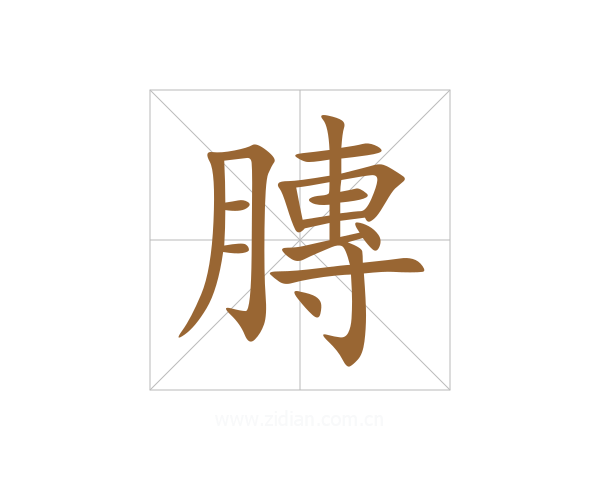膞