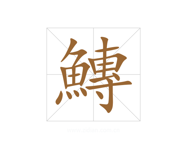 鱄