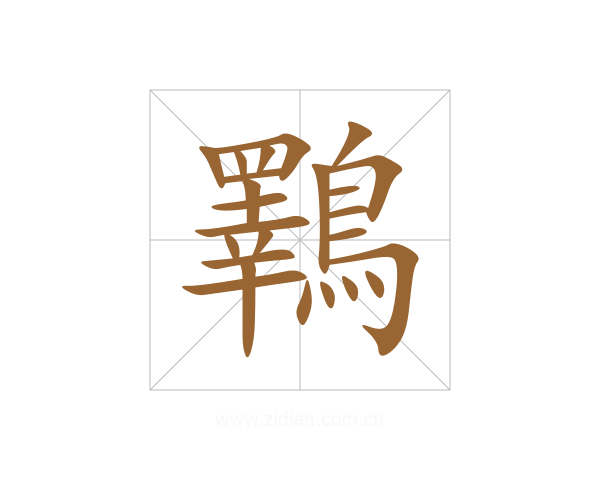 鸅