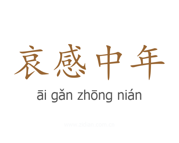 哀感中年