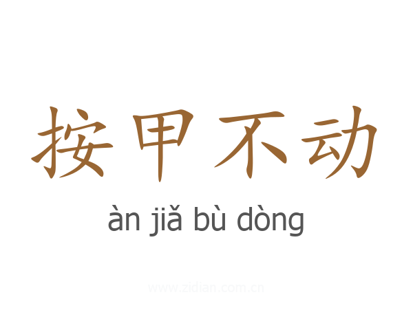 按甲不动