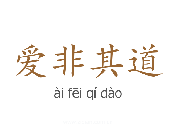爱非其道