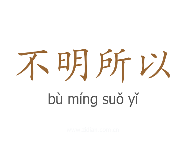不明所以