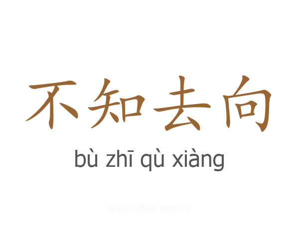 不知去向