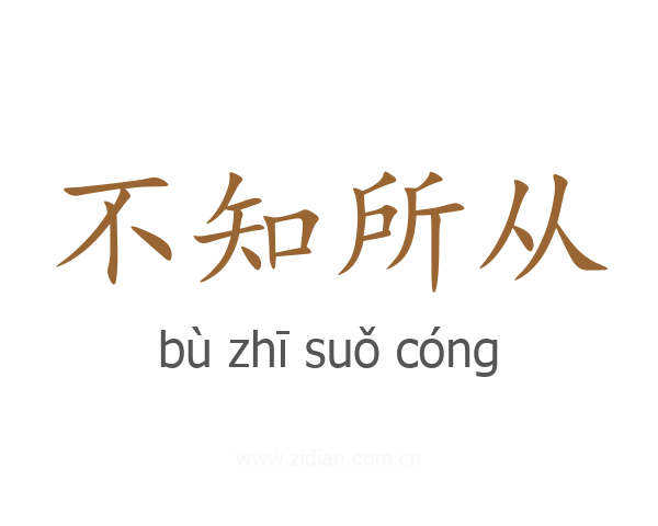 不知所从