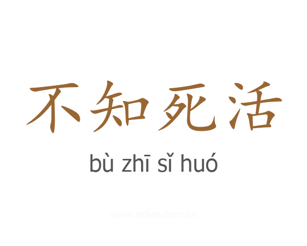 不知死活