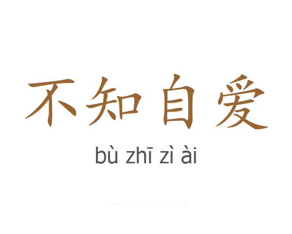 不知自爱