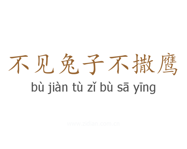 不见兔子不撒鹰