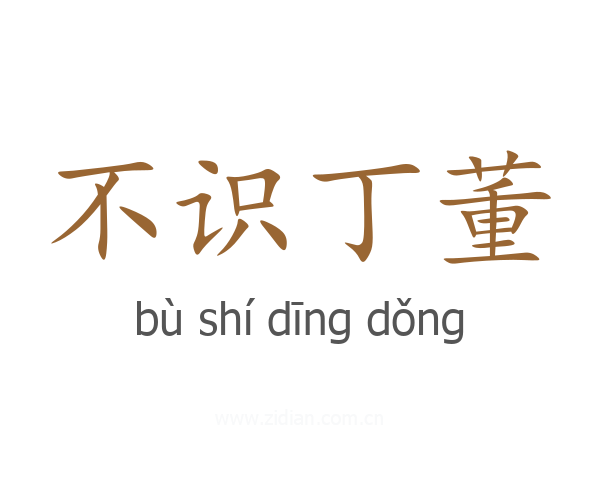 不识丁董