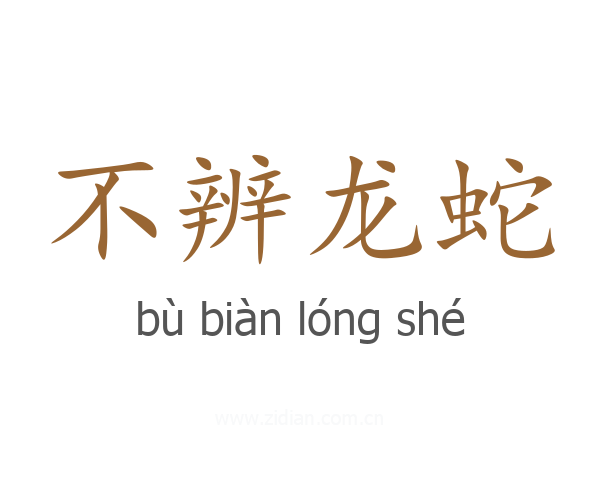 不辨龙蛇