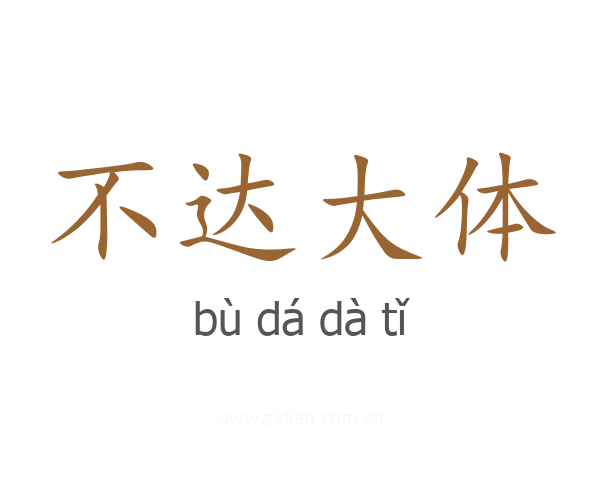不达大体