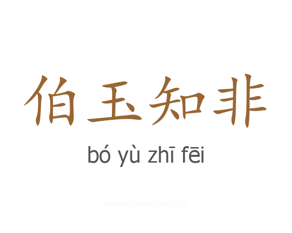伯玉知非
