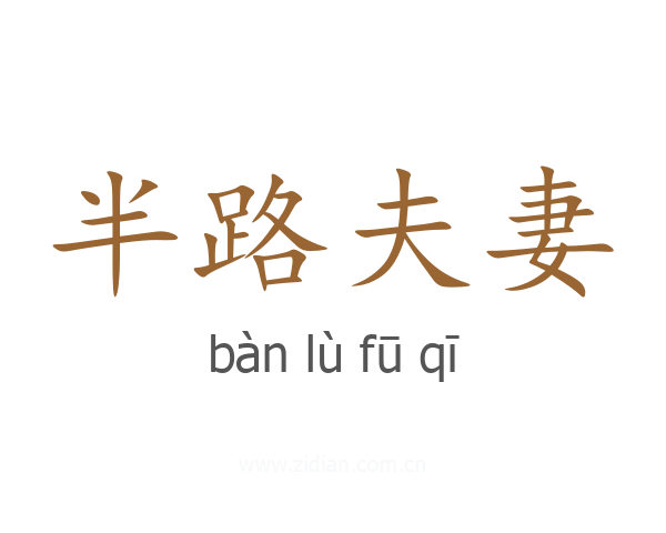 半路夫妻