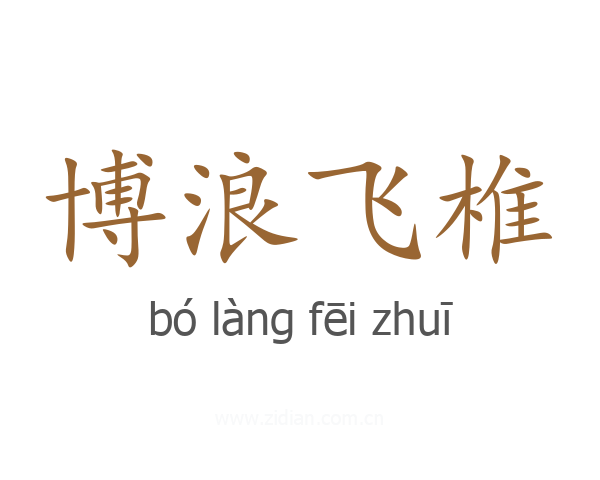 博浪飞椎